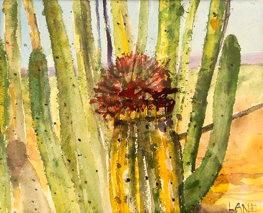 Organ Pipe Cactus
