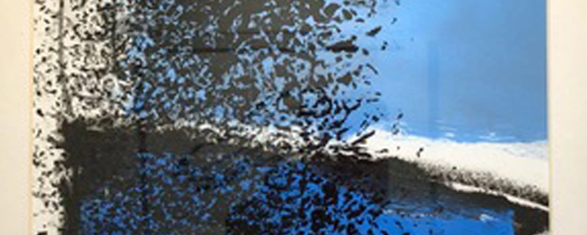 Banner Robert Wilson.jpg