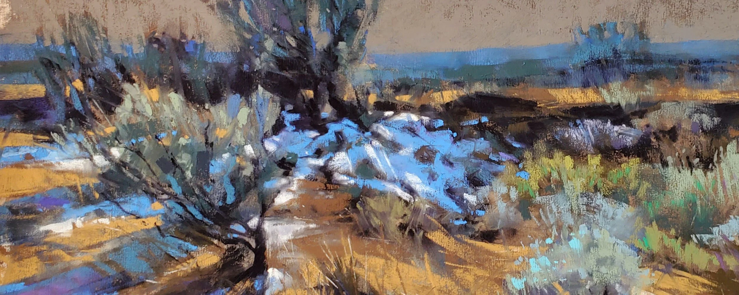 Banner Evenhus Chasing Winter Shadows.jpg