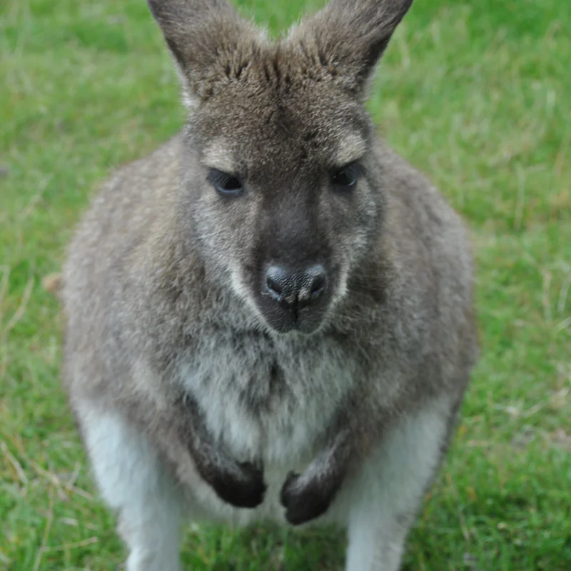 DSC_0421.jpg