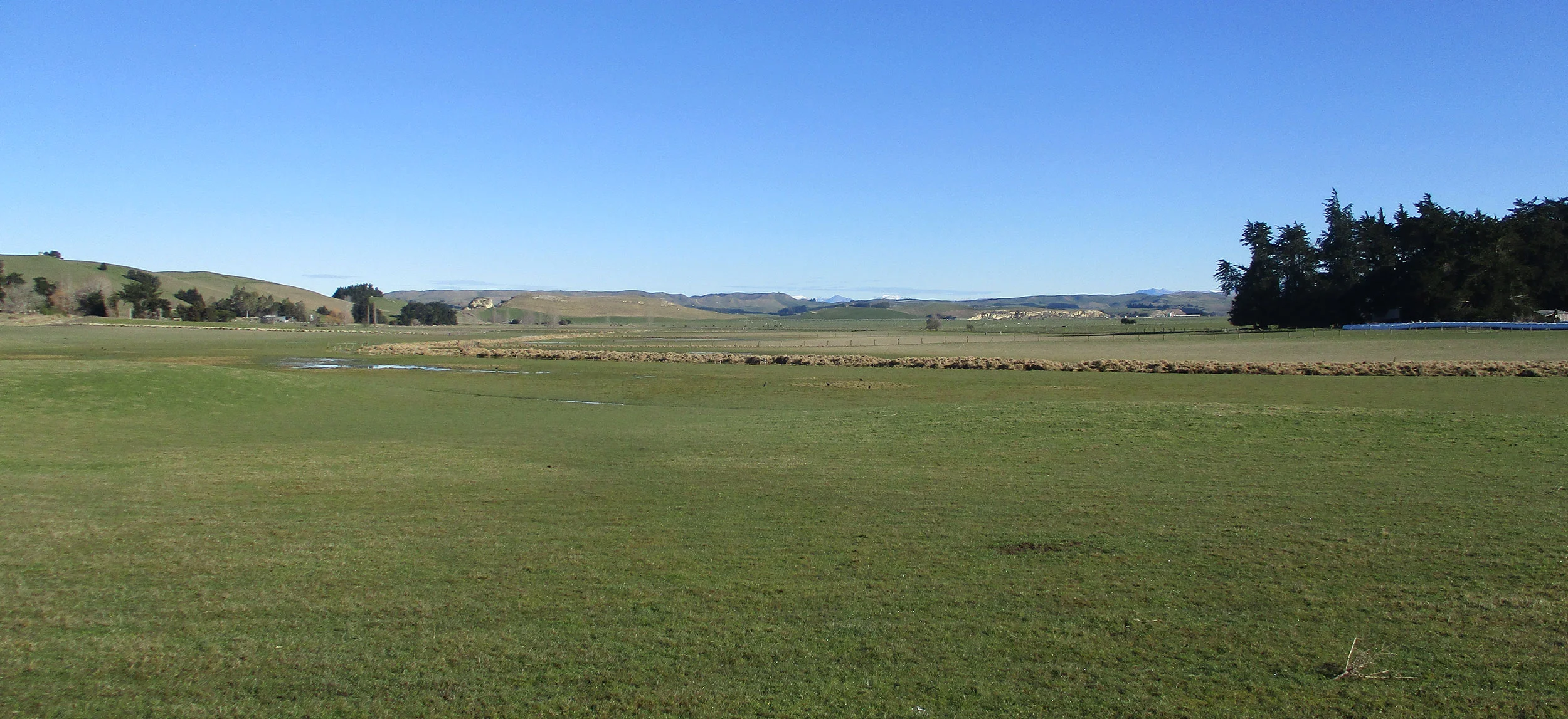Farmland at Kapua, looking out towards Waihao Downs.