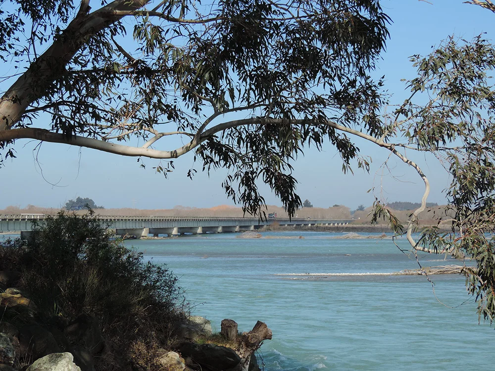 Photo courtesy of Anne and Joe Lomas of Glenavy's Waitaki River Motor Camp