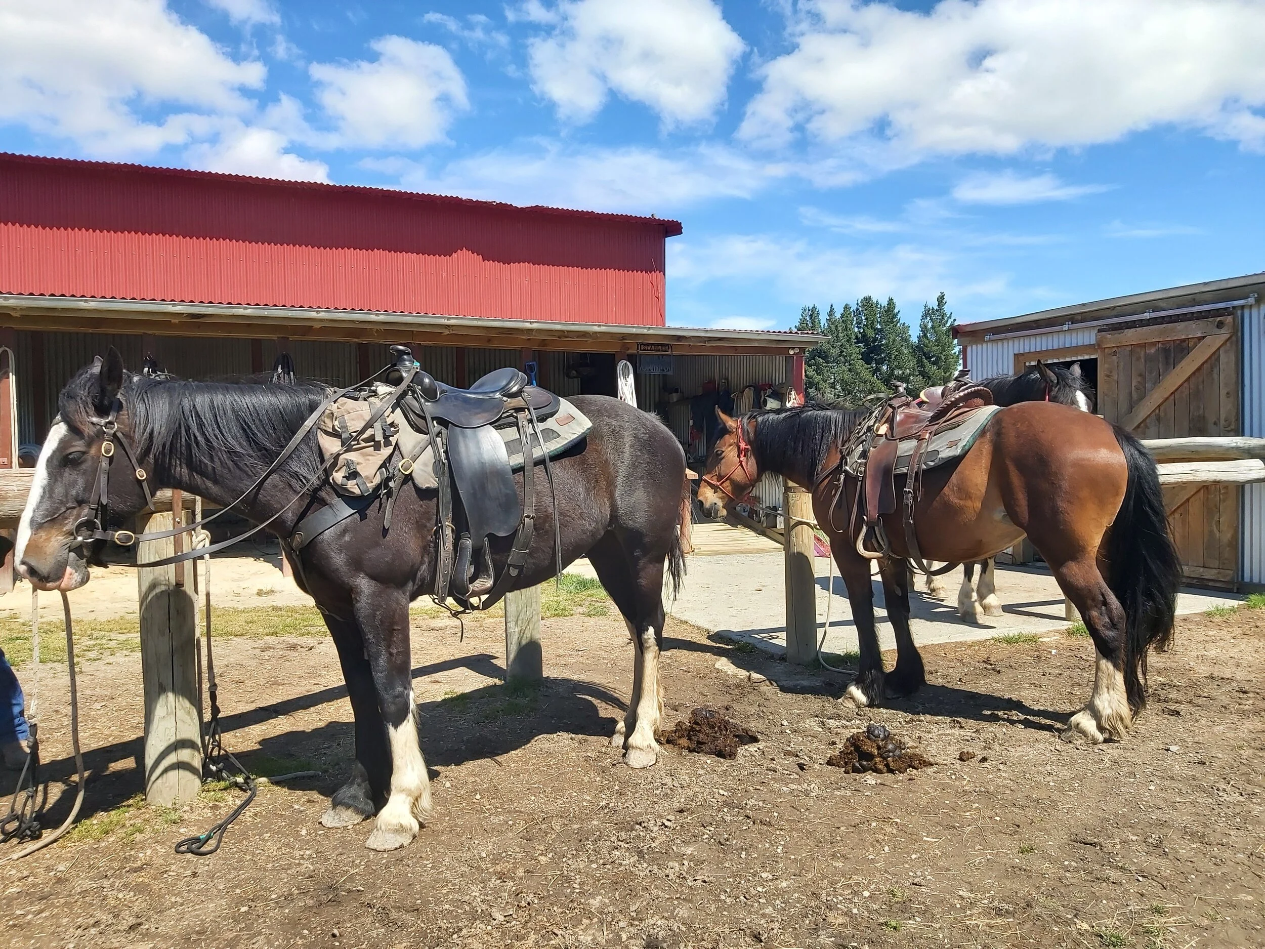 Waimate District's Top 10