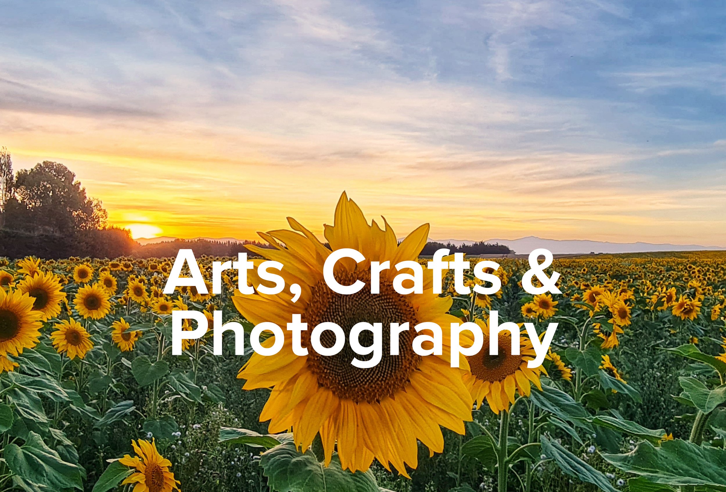 Arts , Crafts & Photography.new jpg 2.jpg