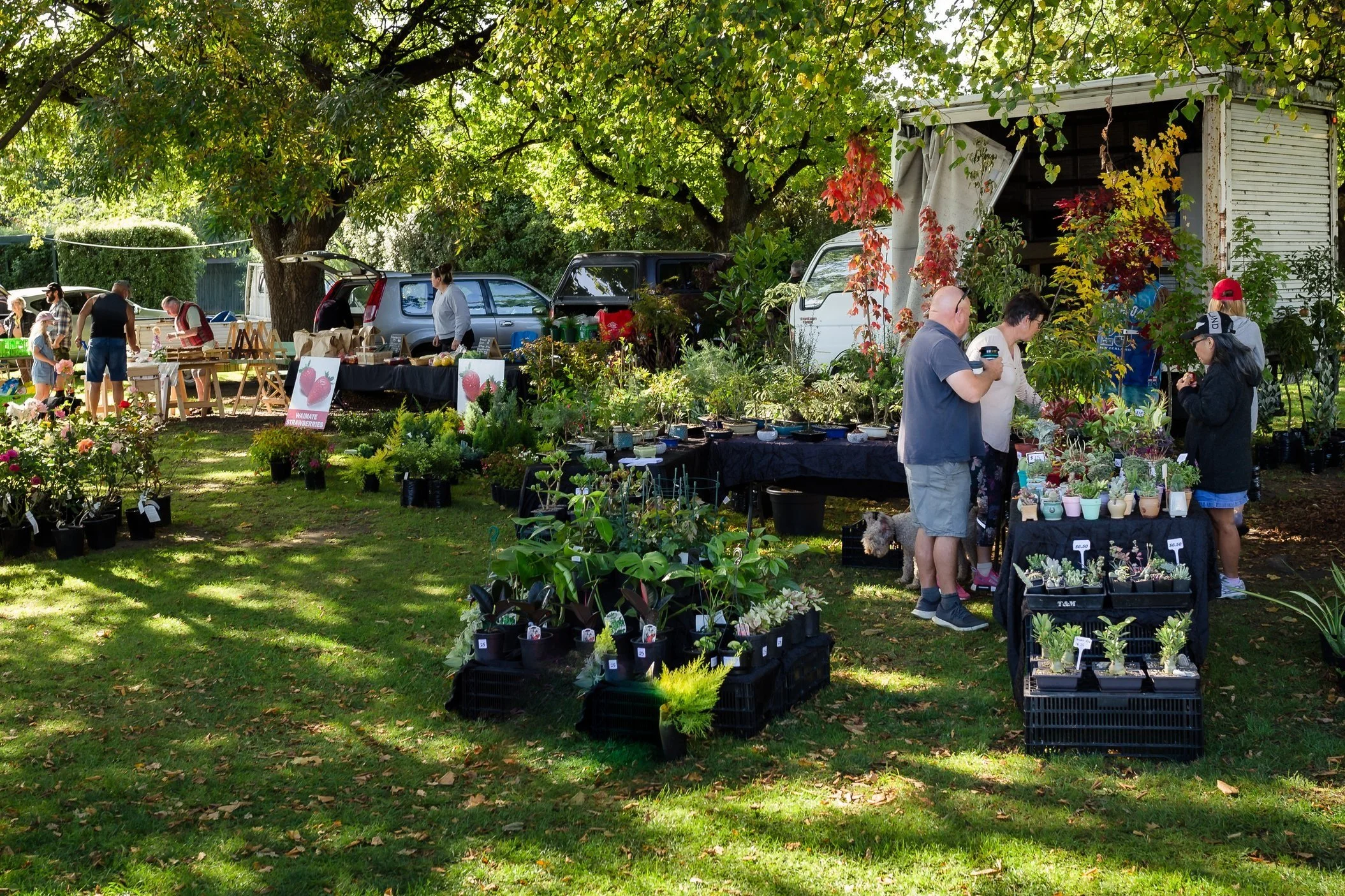 What's Coming Up — Explore Waimate District