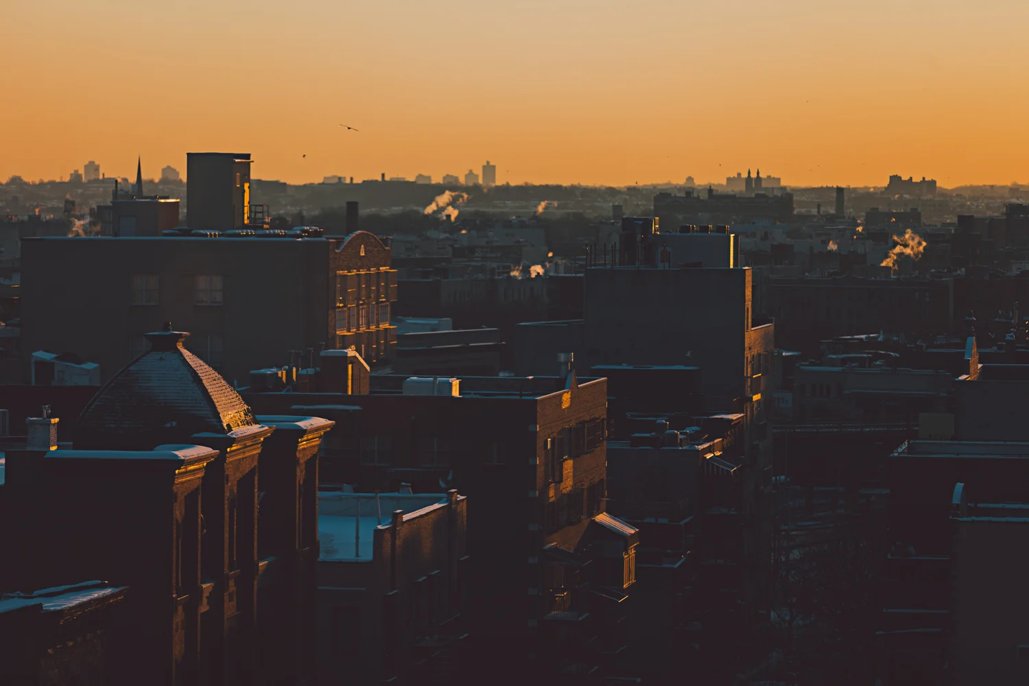Brooklyn, NY