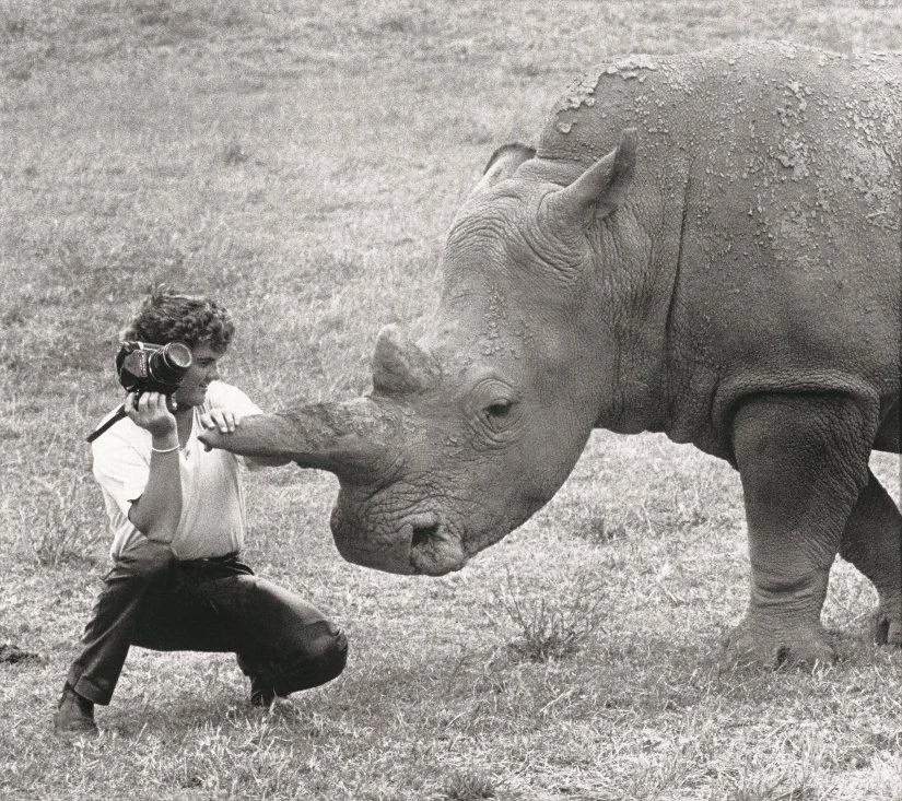 Darryn Lyons pets a Rhino