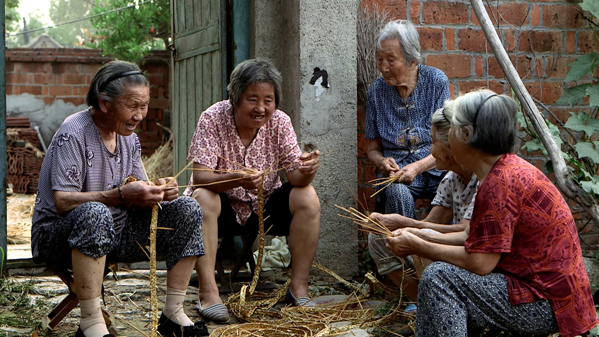 草编剧照.jpg