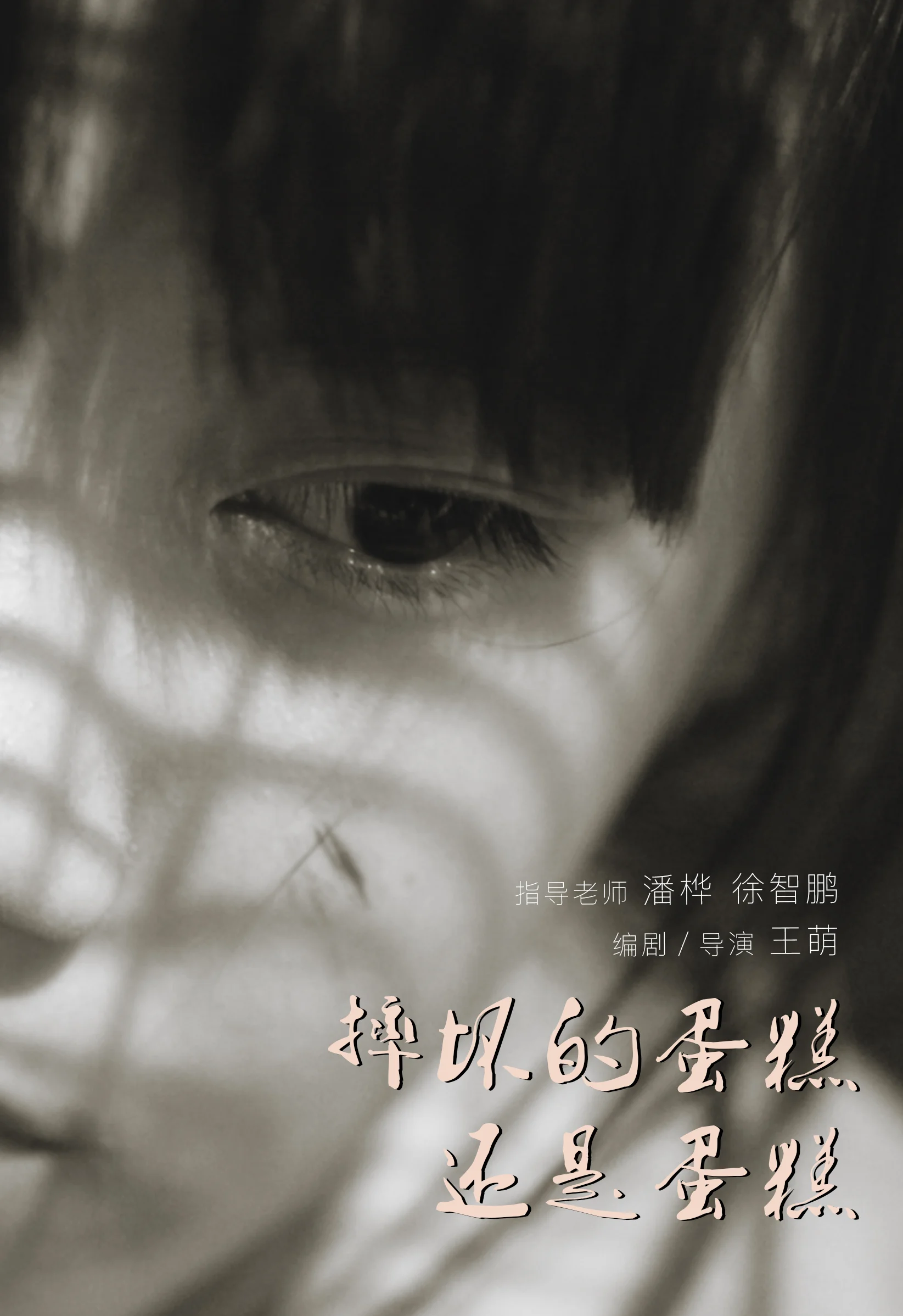 摔坏的蛋糕还是蛋糕-海报.jpg