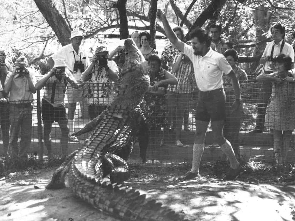 Image via Cairns Post