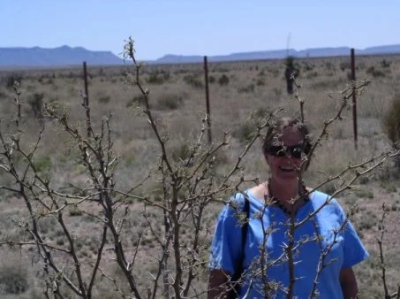 cfs_marfadesert.jpg