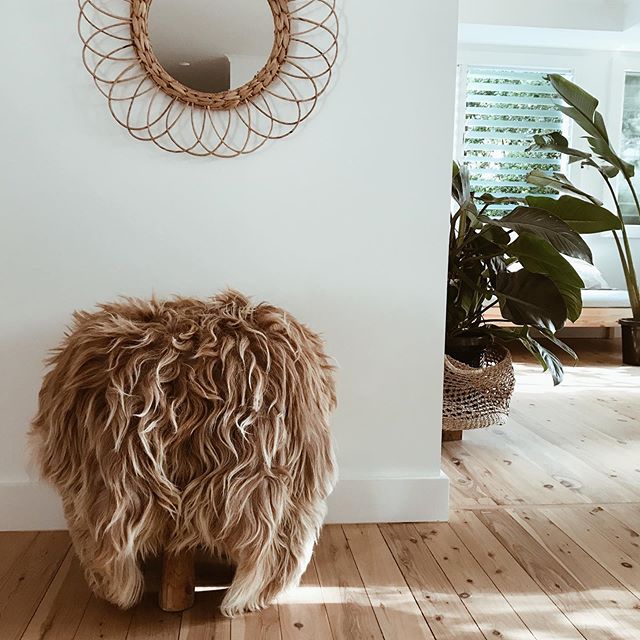 Faroe Island Sheep Skins. Stay tuned for  an announcement tonight but couldn&rsquo;t wait to share. Pre-order is now live. Link in bio.  #sheepskin #faroeislands #faroeislandsheepskin #sheepskinrug #interior #theselittlebeauties