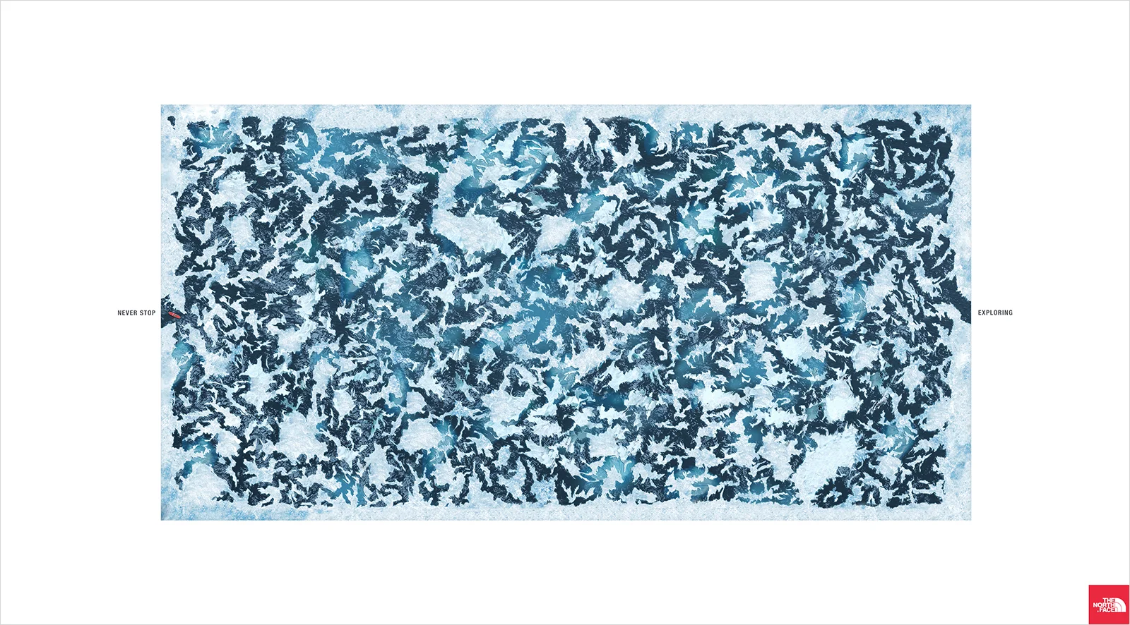 TNF Maze - Arctic_low.jpg
