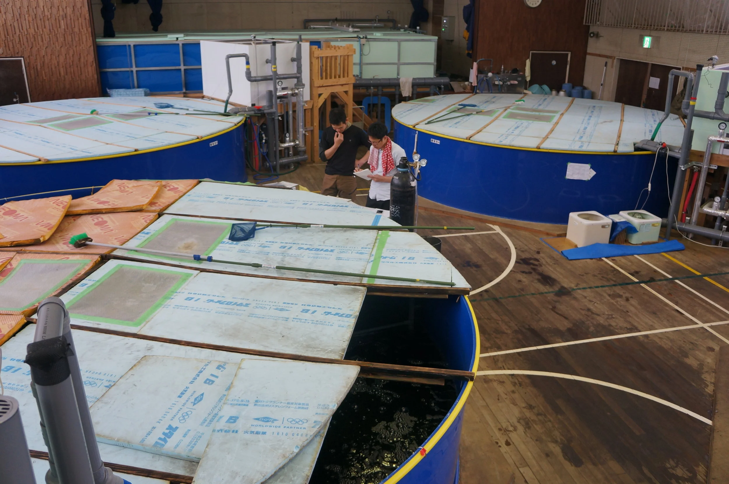 Coc認証 Msc Asc Mel 丸水札幌中央水産株式会社