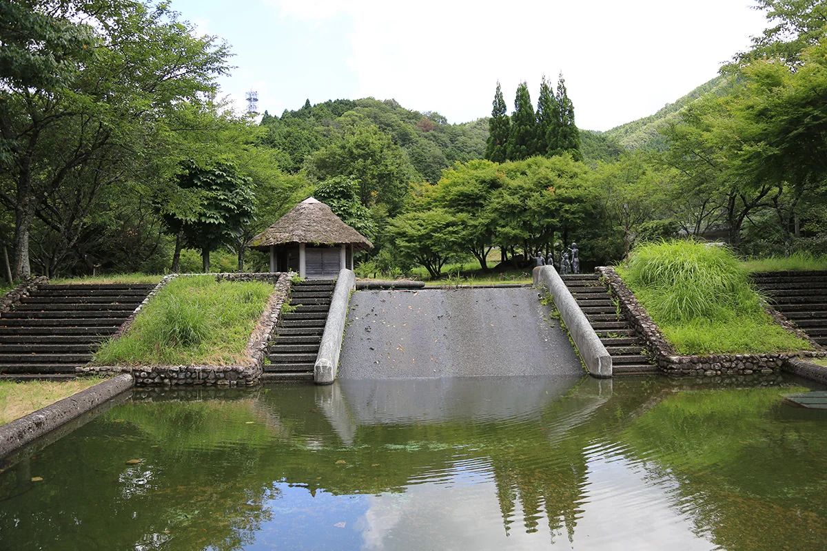 n-theme-1_06.jpg
