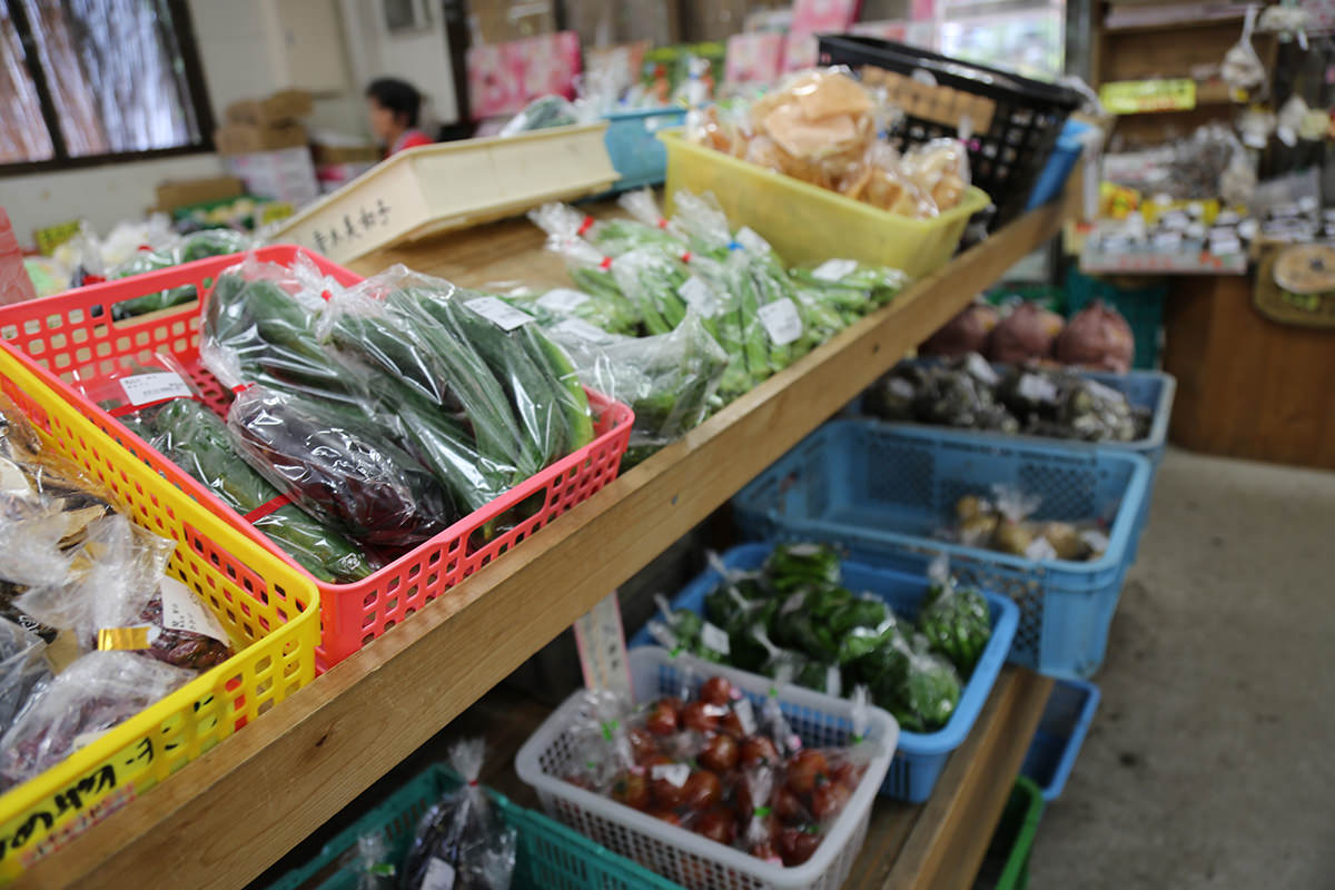 n-theme-9_05.jpg