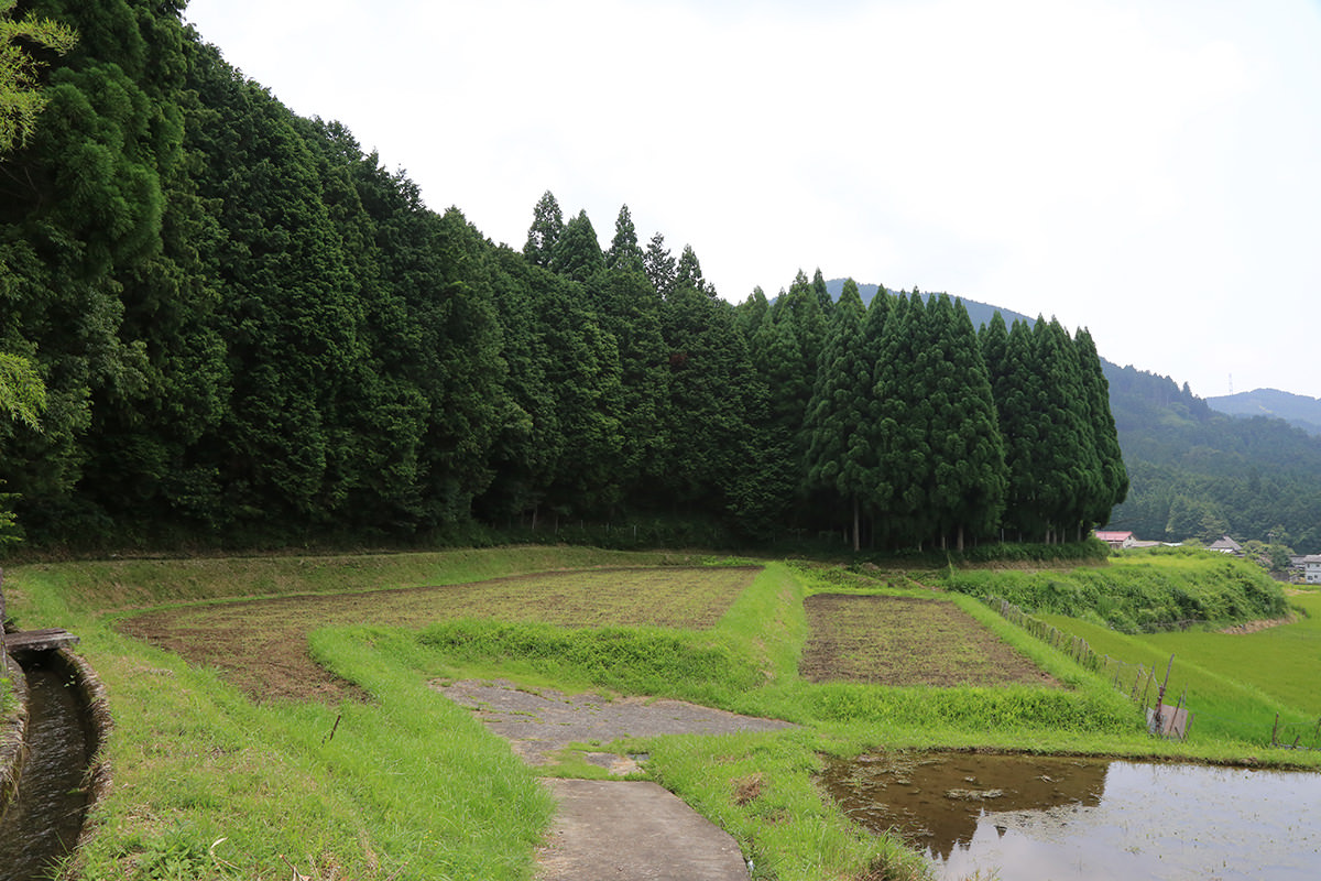 n-theme-13_01.jpg