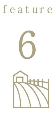 特徴6.jpg