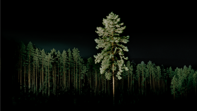 81f74947-76e6-43ed-bfc4-9ac5bfe46bfe.png