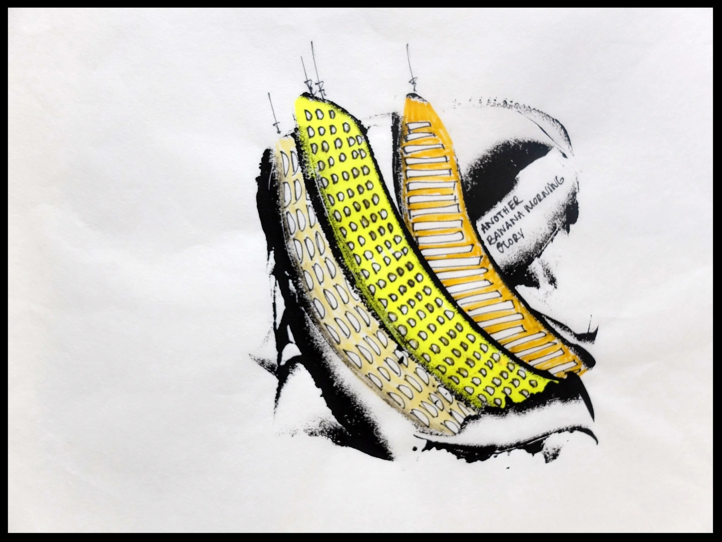 Another banana morning glory