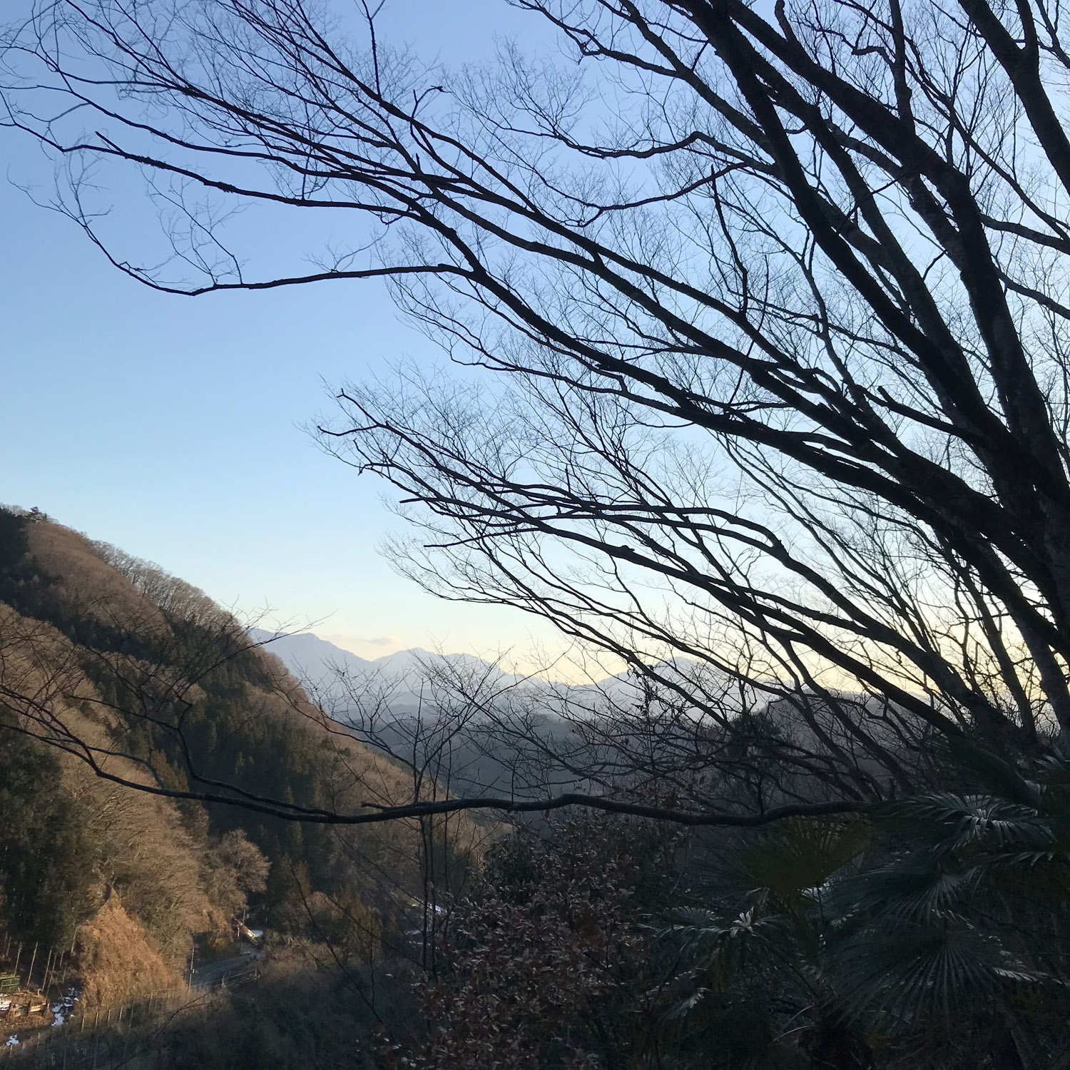 Fujino - arty view