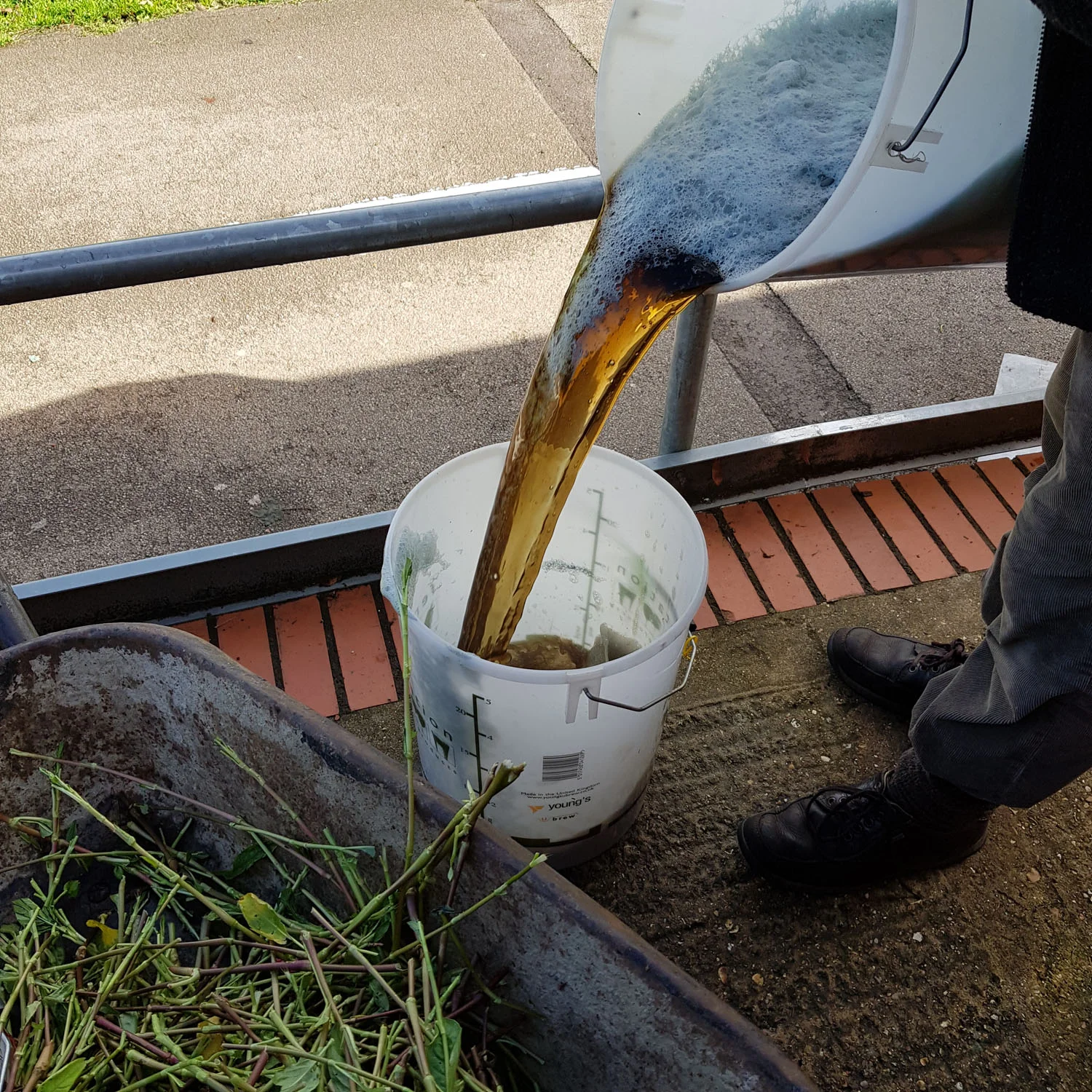 Dye day with with London Guild of Spinners, Weavers and Dyers