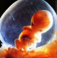 8week.jpg