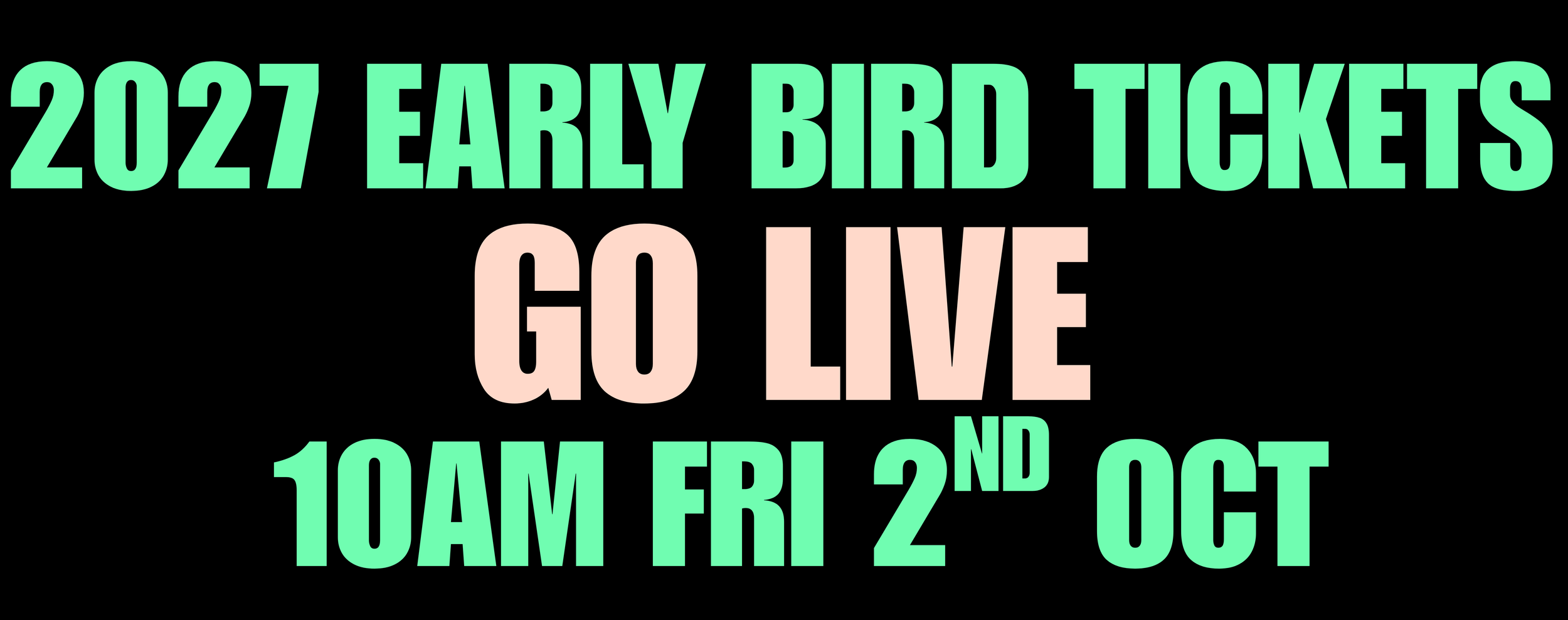 early bird.png