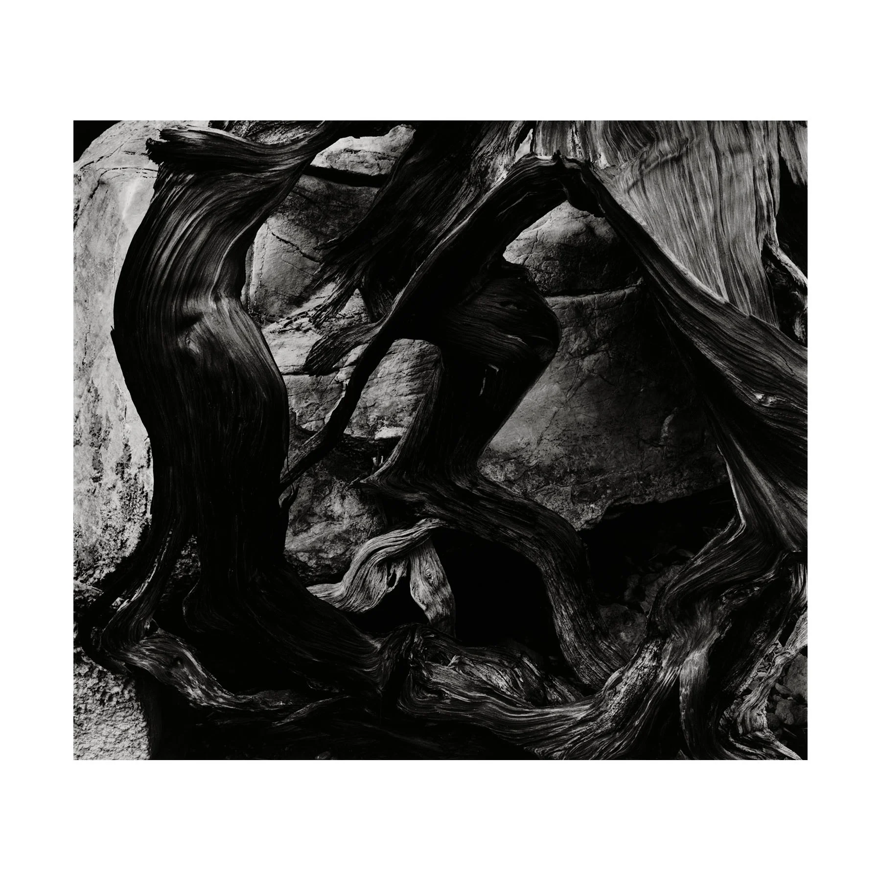 Brett-Weston-Twenty-Photographs_02-SQ.jpg