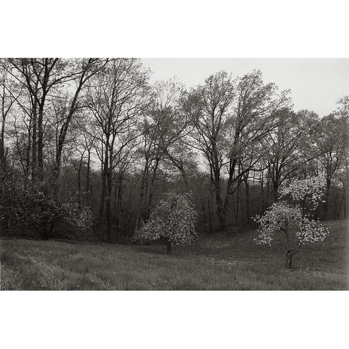 pg9-Apple-Orchard-1994-SQ.jpg
