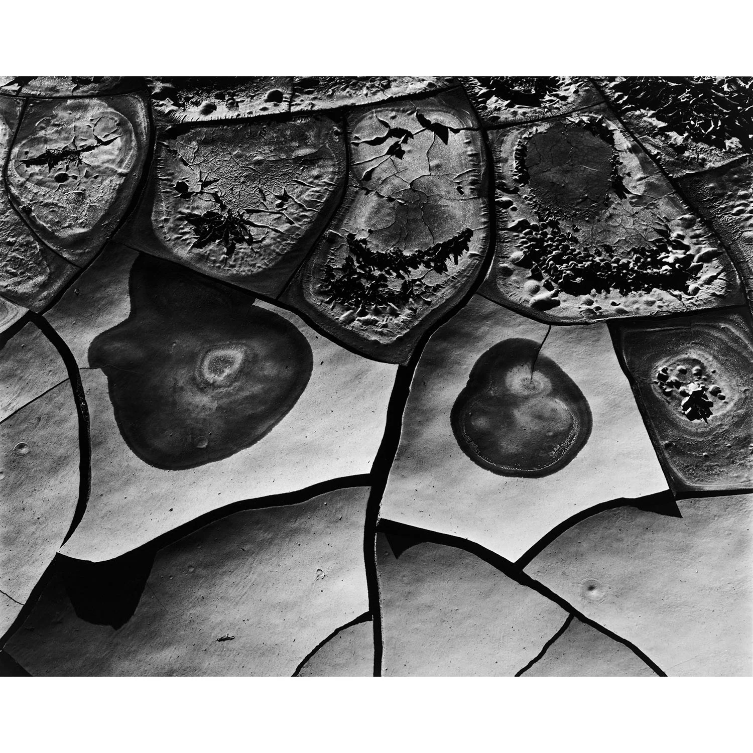 brett_abstractions2_005-SQ.jpg