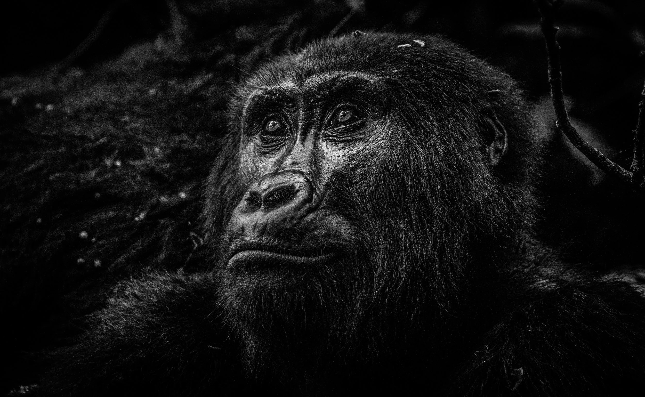 A BRIGHTER TOMORROW.jpeg