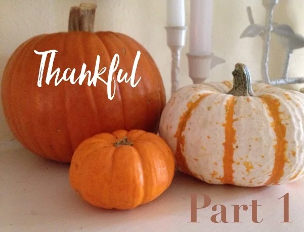 What I'm Thankful For - 1 of 2