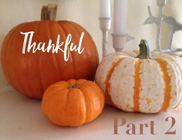 What I'm Thankful For - 2 of 2