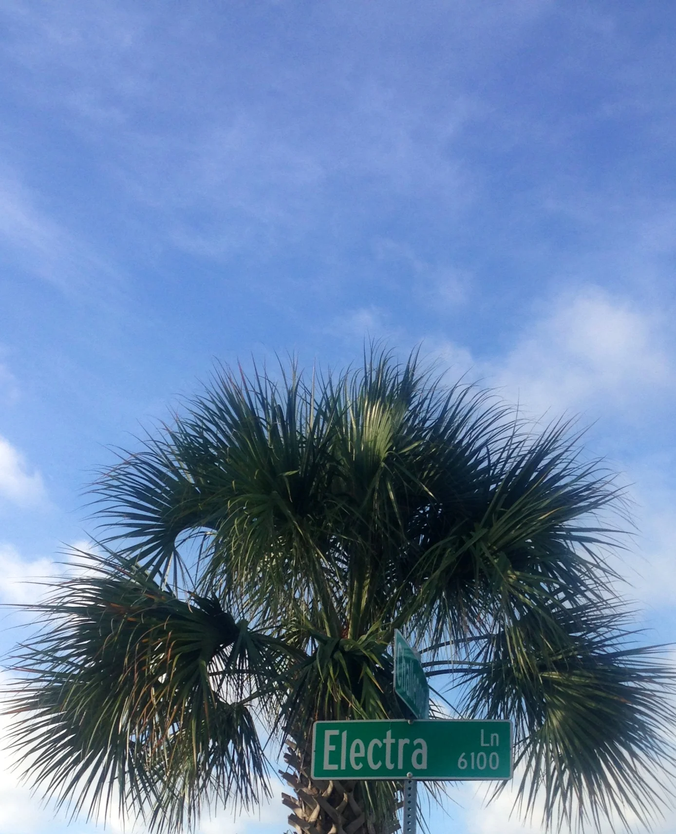 The Real Electra Lane