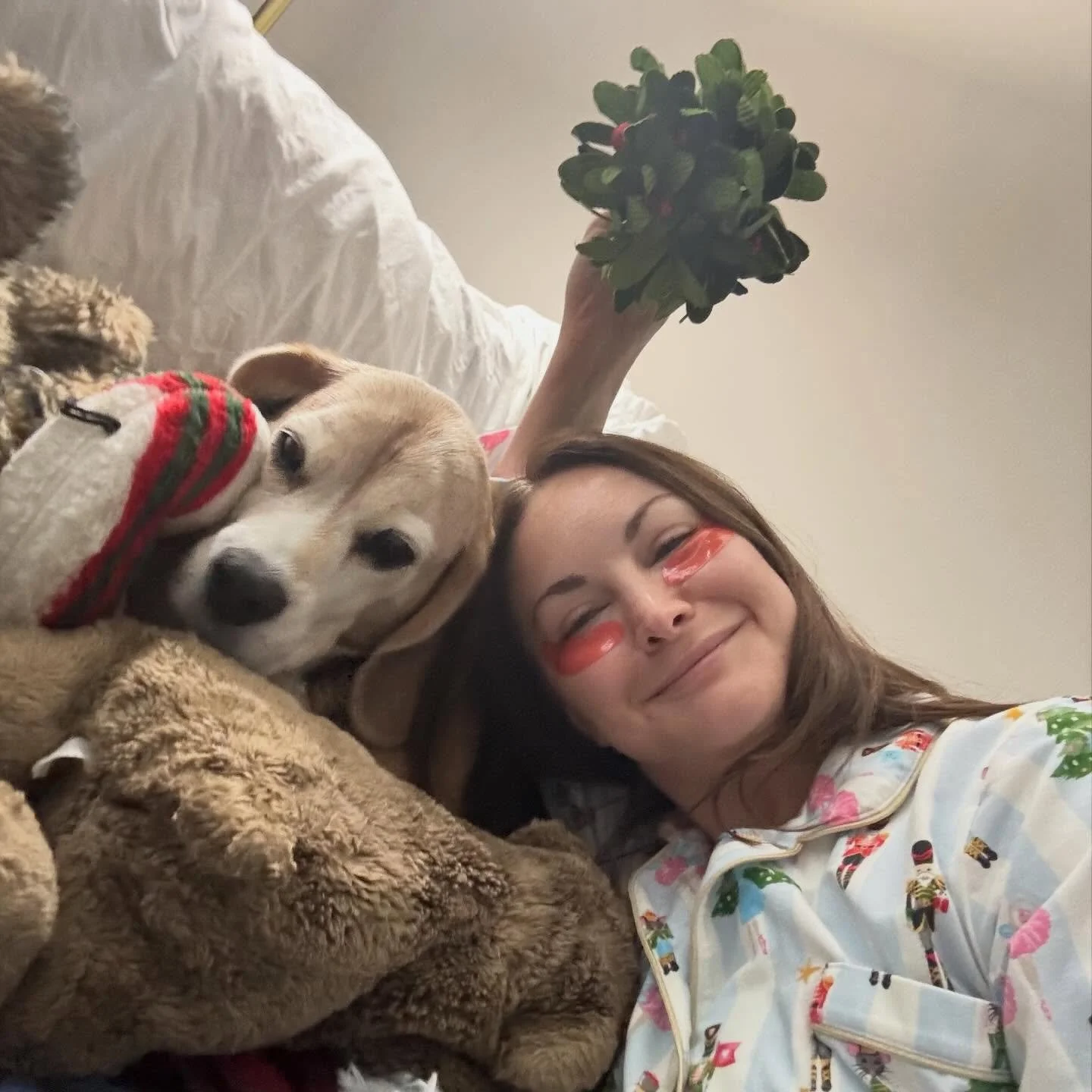 Cozy with my soul dog. ✨ Wishing y'all a very happy Christmas! 

 #happiness #christmas #beagle #seniordog