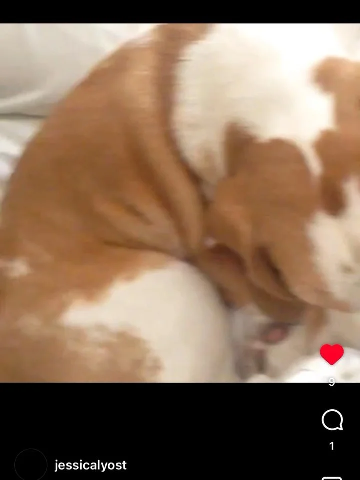 2016 - hip reconstruction, starting with Powerhouse Planning, and moving to Old Town. Had to dip into my finsta for these gems. Also I miss Clark. Also I really liked that Pimpin Joy shirt.  #2016