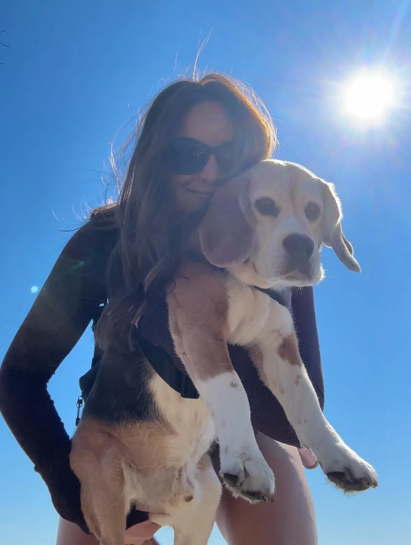 Grateful for my boi 🤍 #souldog