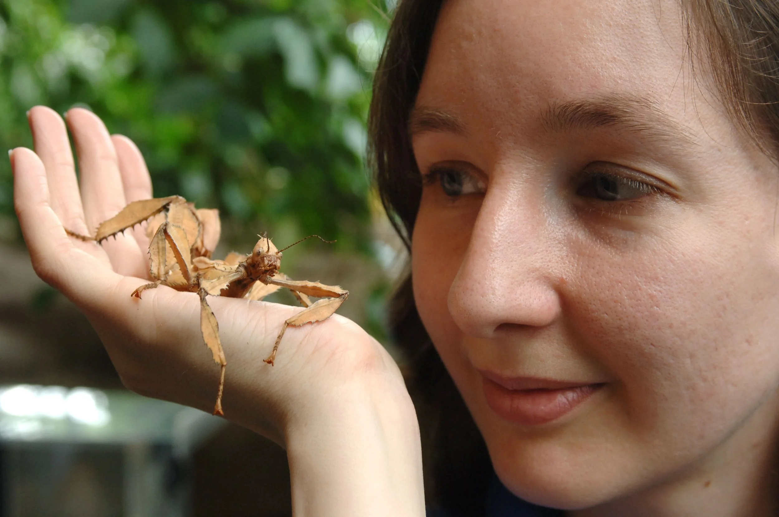 Animal Handling at Wildwalk, At-Bristol