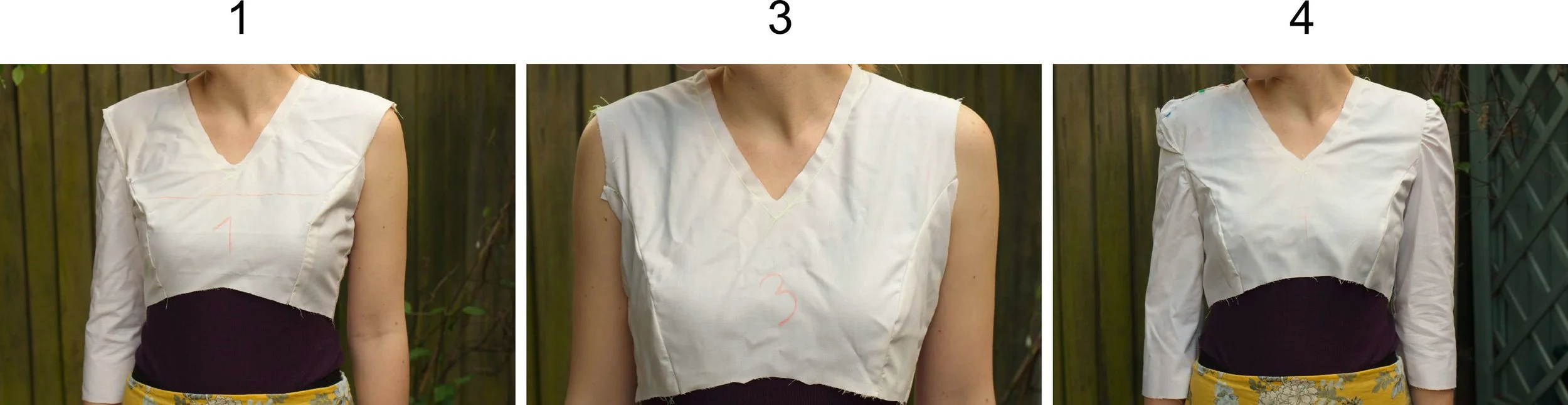 Notionally speaking muslin.jpeg