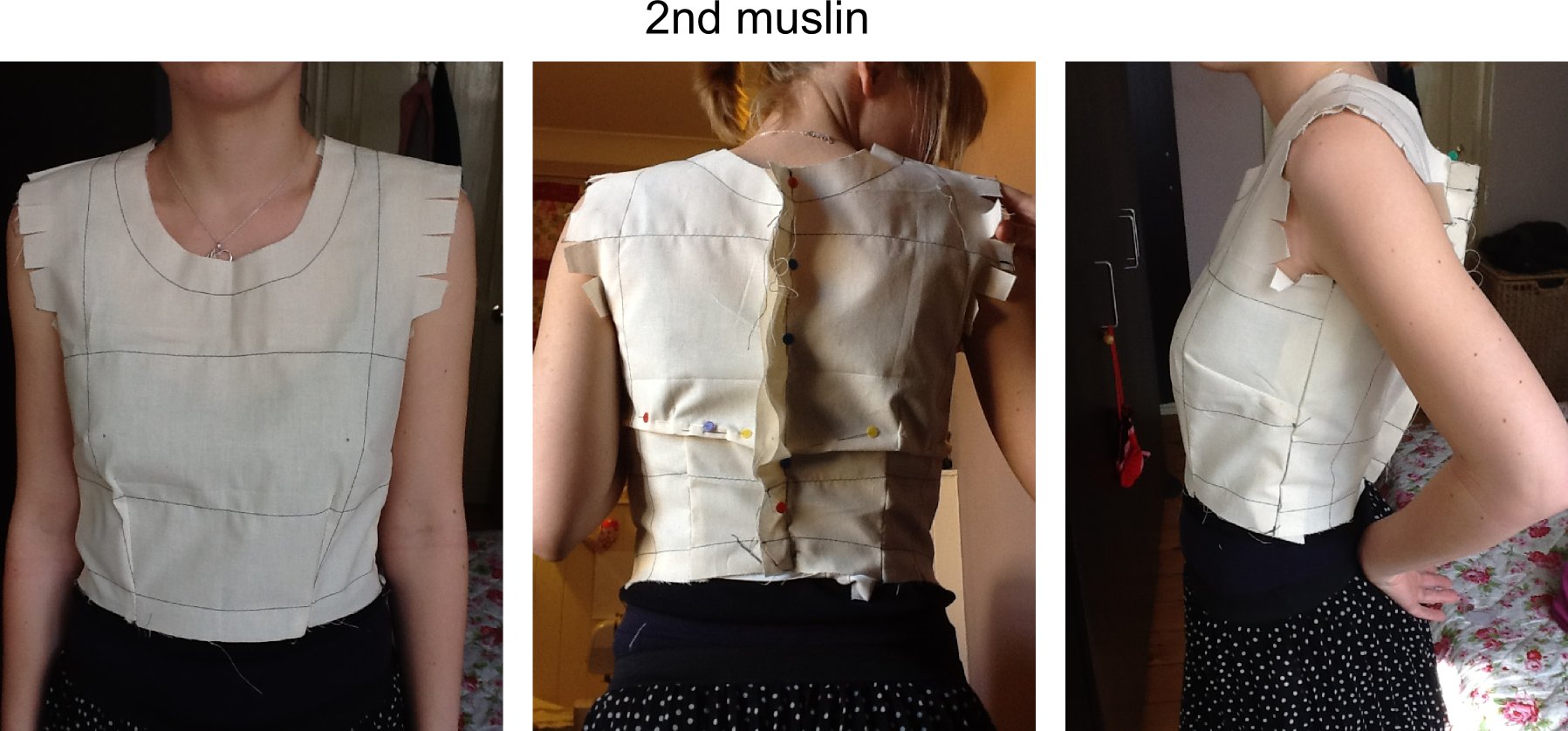 Notionally speaking muslins 4.jpeg