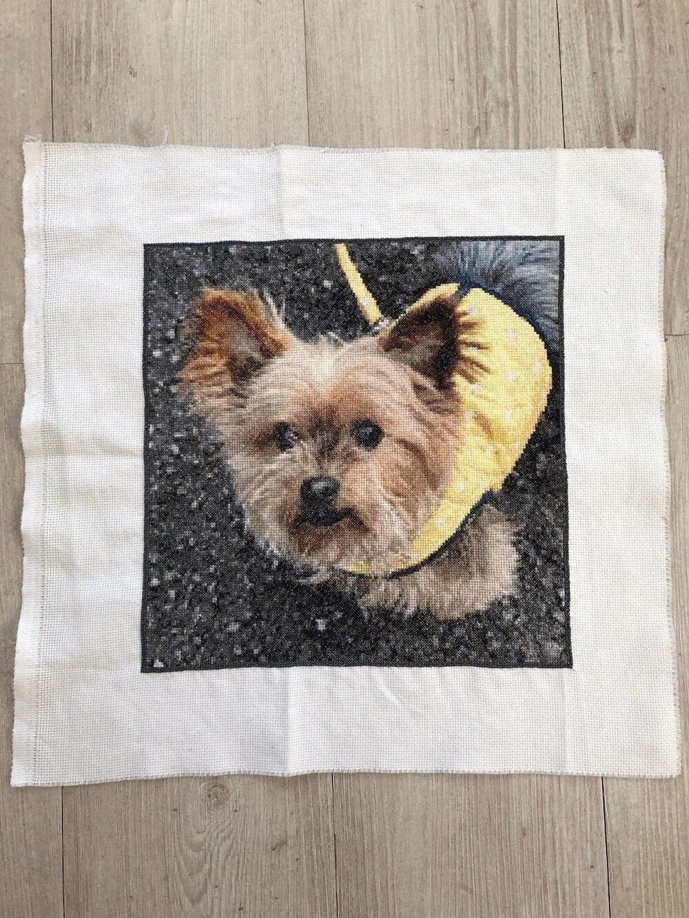 Very special lockdown cross stitch