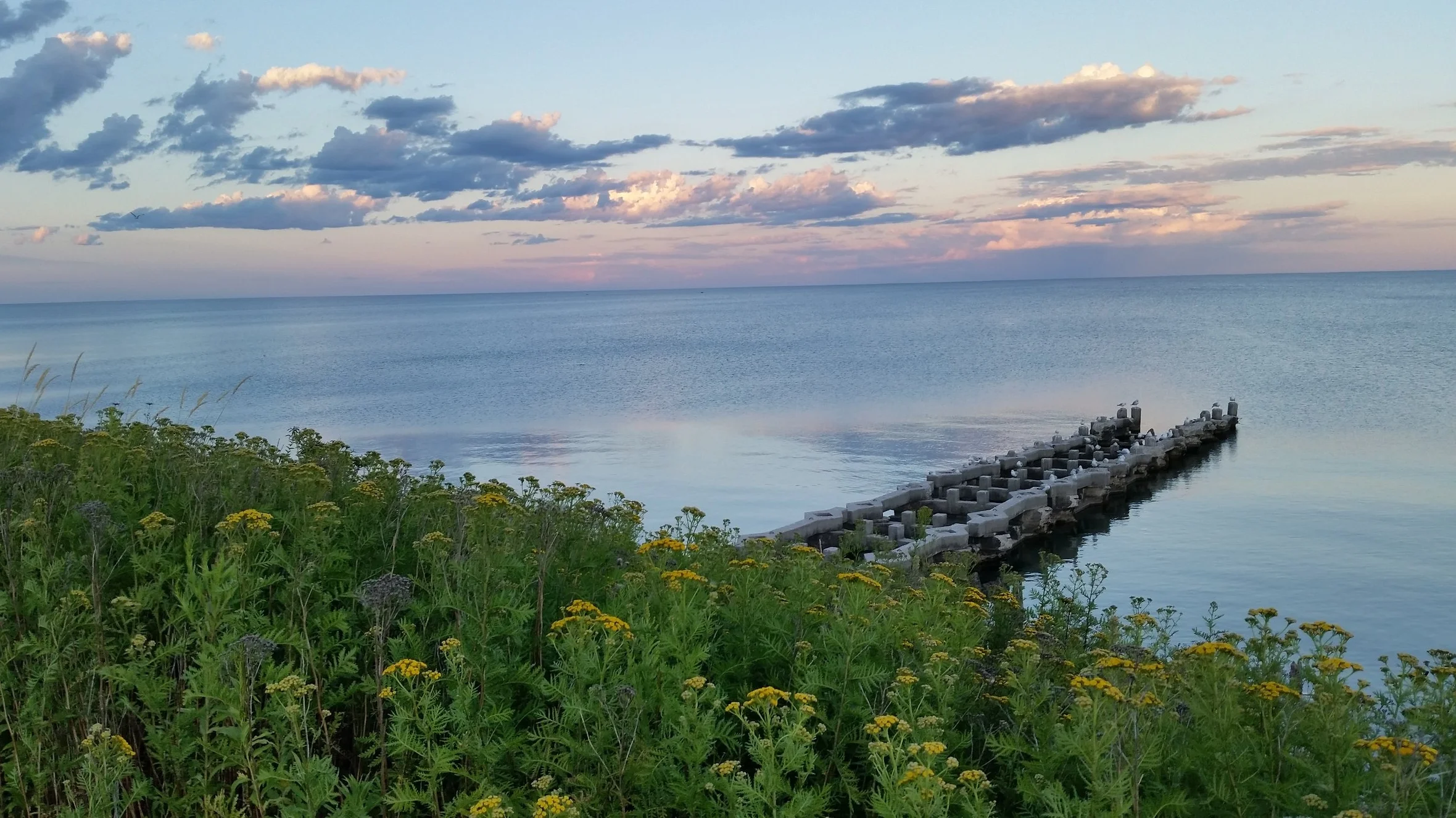 20150731_195738.jpg