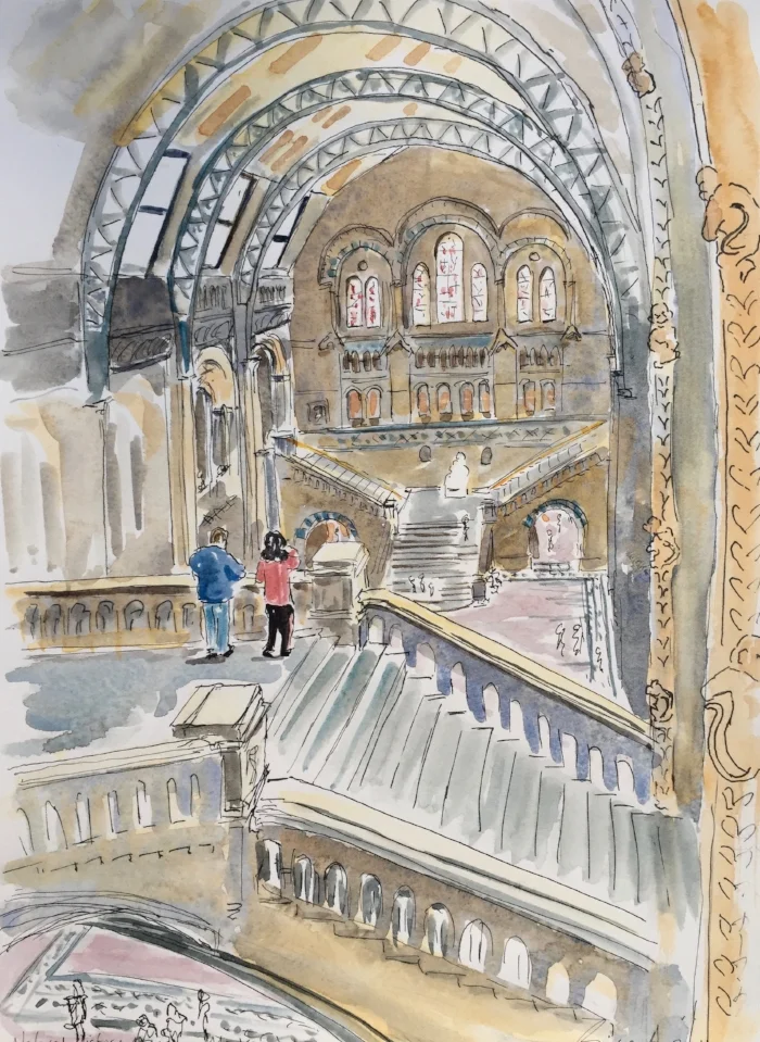 Natural History Museum (2011) watercolour £425