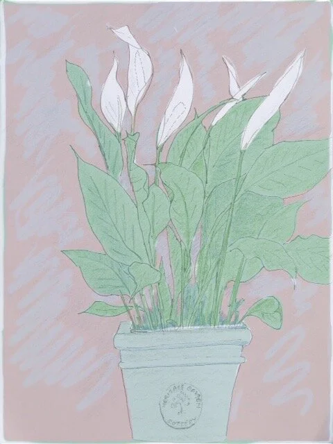 'Akram Khan?'  iPad Drawing  Image free (with credit to Bill Aldridge)