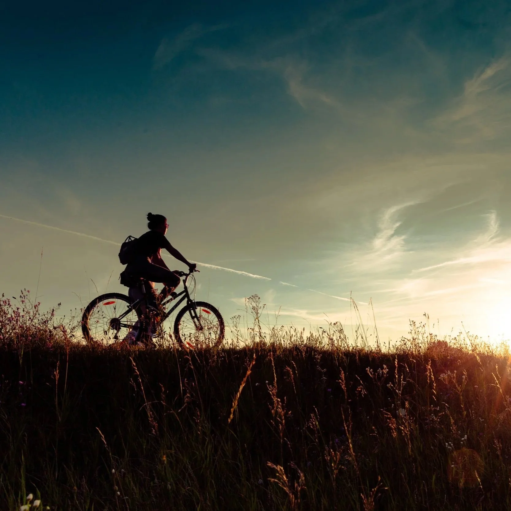 Fietsarrangement 't Gooi