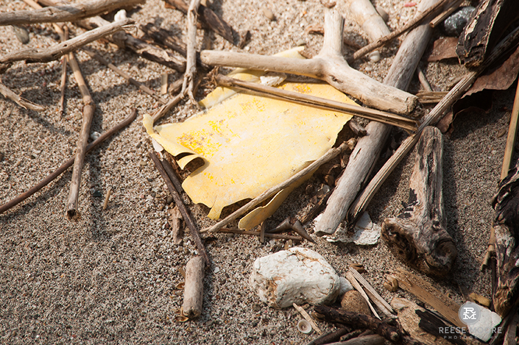 Ocean Plastic: The Myth of the Pristine Beach