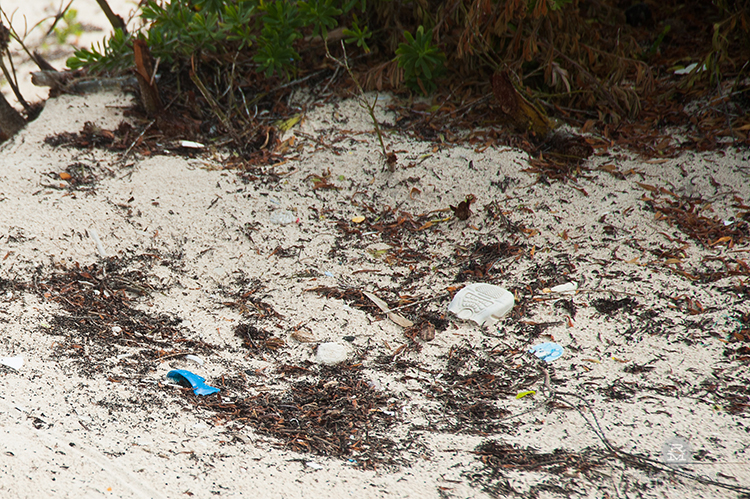 Ocean Plastic: The Myth of the Pristine Beach