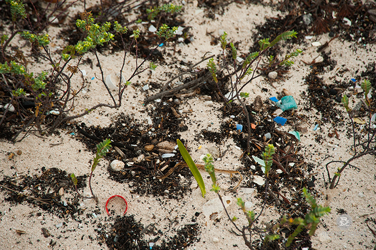 Ocean Plastic: The Myth of the Pristine Beach