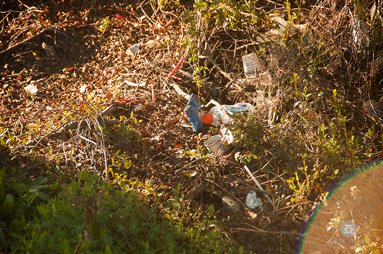 Ocean Plastic: The Myth of the Pristine Beach